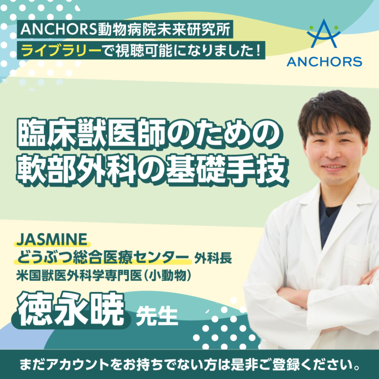 202507_anchors_bnr_v3_01